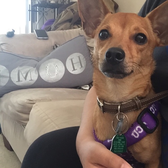 Meet your Posher, Amanda - Picture 2 of 2